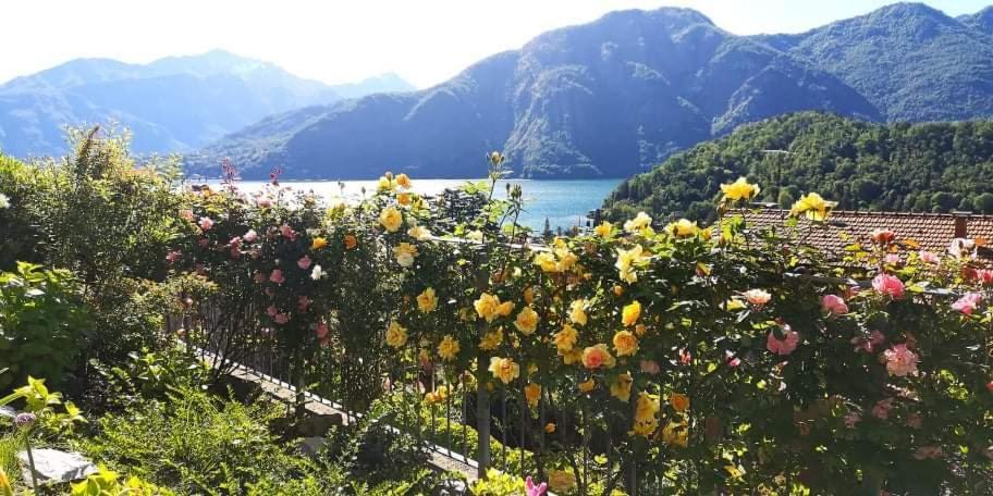 Magic Garden With Jacuzzi-Pool And Luxury Lake Como View Lenno Dış mekan fotoğraf