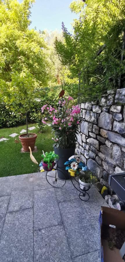 Magic Garden With Jacuzzi-Pool And Luxury Lake Como View Lenno Dış mekan fotoğraf